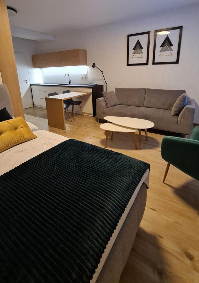 Apartman Hestia 5 Rajecké Teplice Buitenkant foto